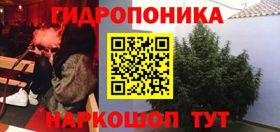 прущая мука Кимры